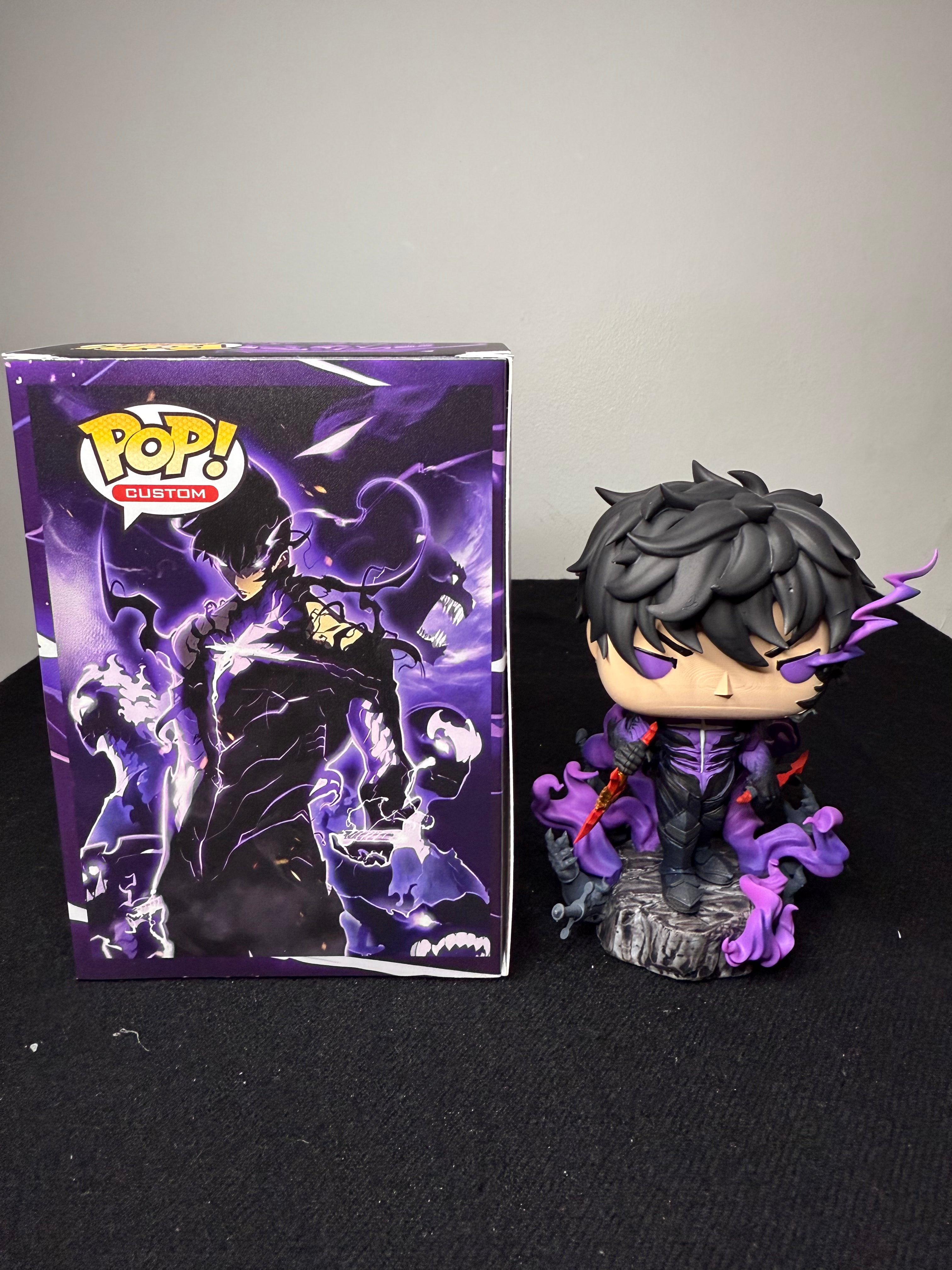 Sung Jin Woo Pop Custom